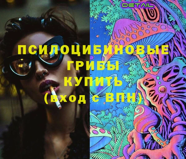 крисы Балахна