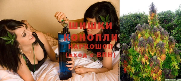 крисы Балахна